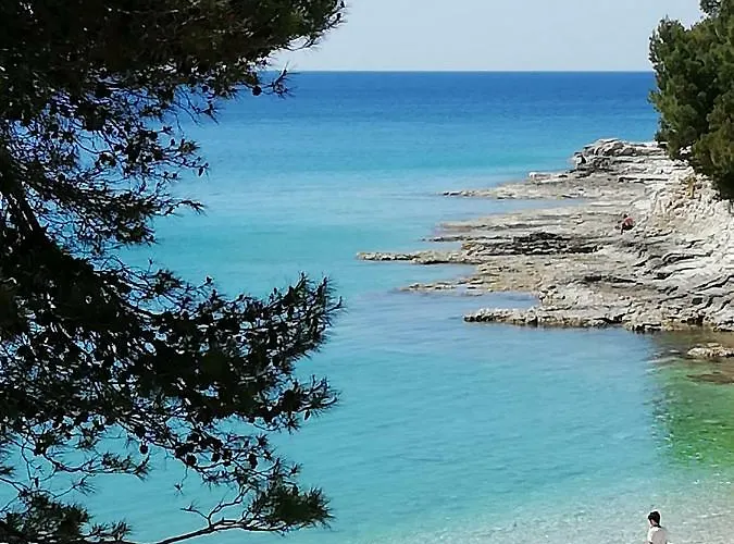 Apartman Jadranka Ivana *