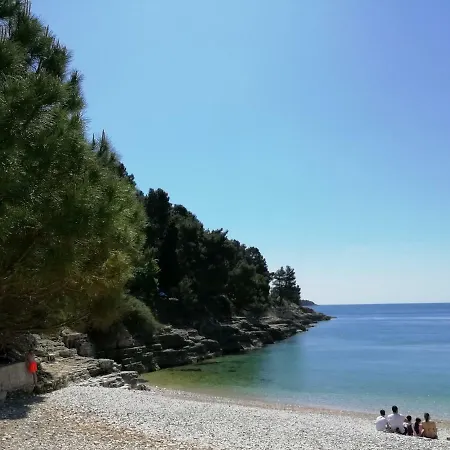 Jadranka Ivana *